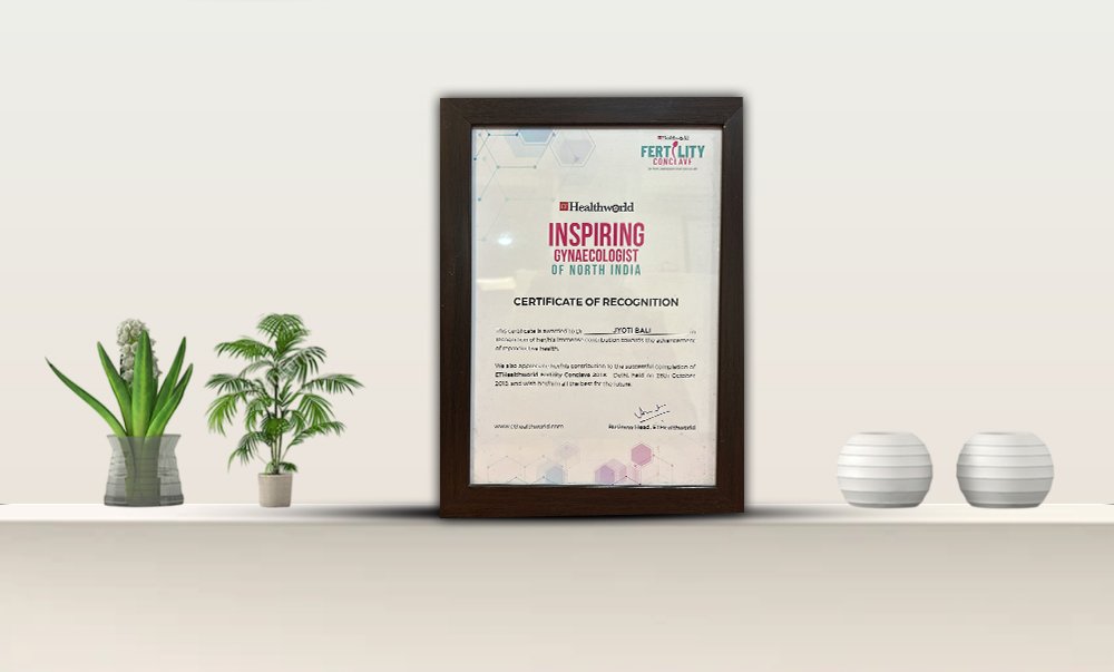 awards copy.jpg3