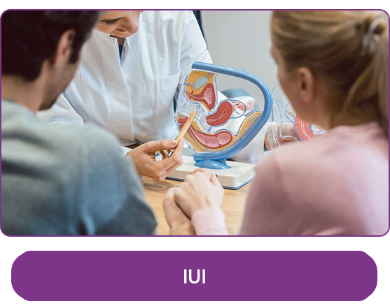 Best IVF center in Delhi NCR