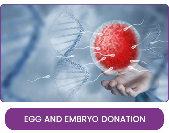 Best infertility centres in Delhi NCR