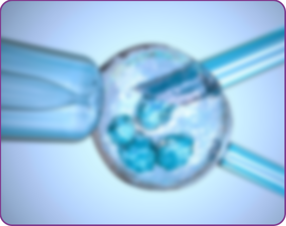 Blastocyst culture IVF in Delhi NCR