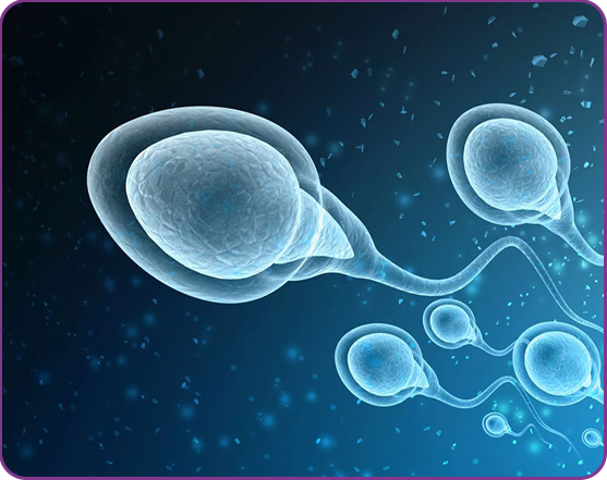 Donor Egg & Donor Sperm IVF in Delhi NCR